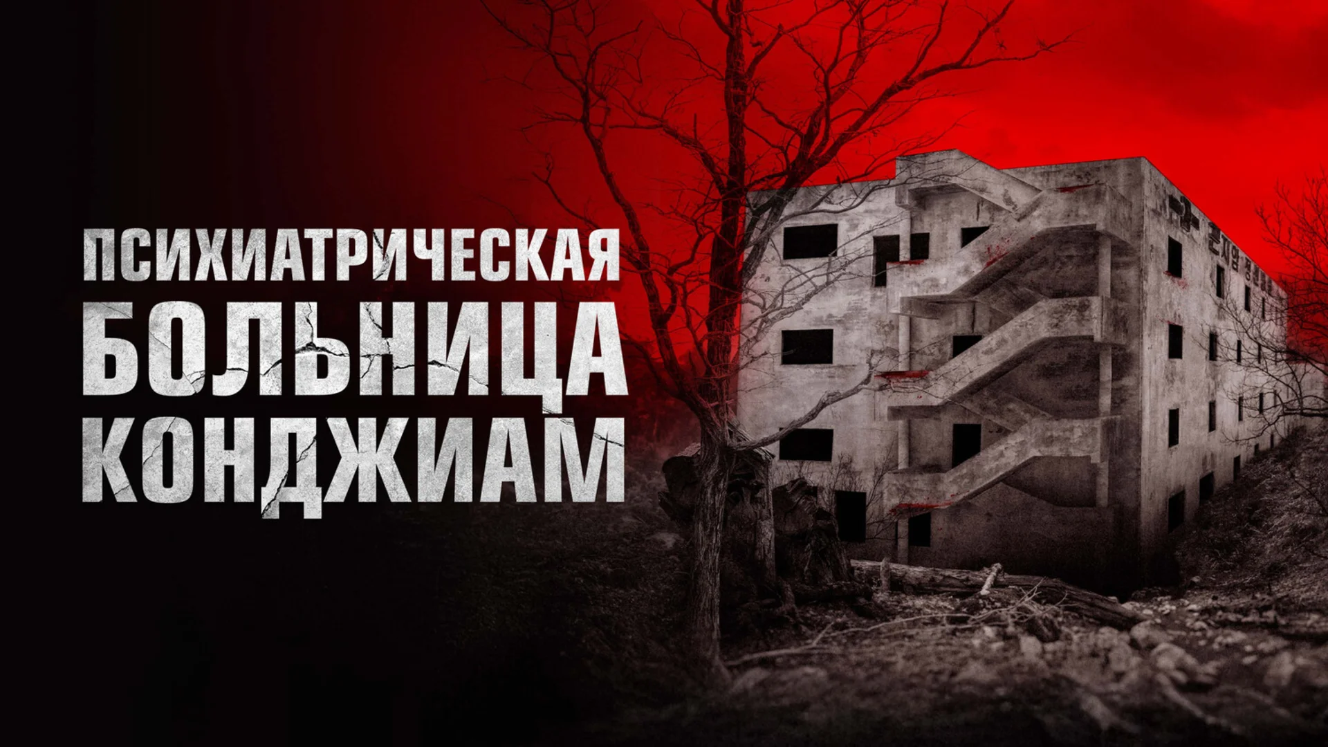 Здесь никого нет.  Gonjiam. Отзыв к фильму "Психиатрическая больница Конджиам"